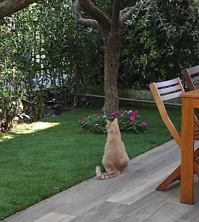 펜션 Il Giardino Degli Olivi